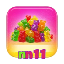 nn11
