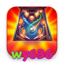 wy636